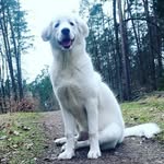 Kai Schrader - @schrader_kai - Instagram