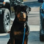 Kai - @kai__serrano - Instagram