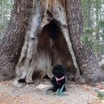 Kai Serrano - @kaistr8outtadogtown - Instagram