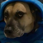Kai Simmons - @kai_simmons_ - Instagram
