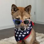 Kai Simmons - @kais_adventures_index - Instagram