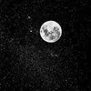 KaiSimons_ - @ramonafflowers - TikTok