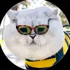 suttonkai - @suttonkai - TikTok