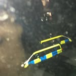 Kai_timmy_69 - @kai_timmy69 - Instagram