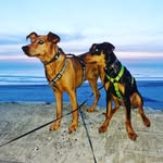 kai.timmermann - @kai.timm71 - Instagram