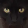 Kai Ward - @ward.kai - TikTok