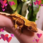 Kai Weaver - Facebook