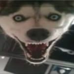 Kai Weaver Hanson - @weaverhanson - Instagram