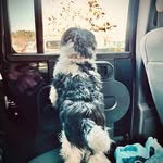 Kai wells - @binglebongle125 - Instagram