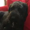 kai wells - @wellscom - TikTok