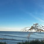 Kai - @kai_wheeler09 - Instagram