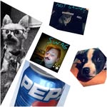 Kai Wheeler - @kai_da_rusty_steel - Instagram