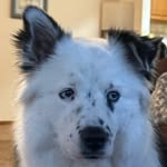 Kai - @kai__wooley - Instagram