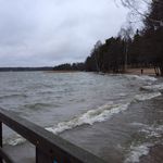 Kai Wulff - @wulffkai - Instagram