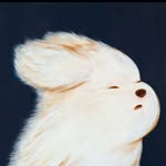 Kai Yang - @kai___yang__ - Instagram