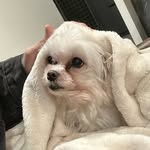 洪愷陽 - @kai_yang__ - Instagram