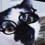 Kaiden Baker - @kaidenbaker00 - Instagram