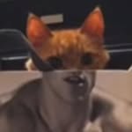 Kaiden Barrett - @sparkle_kitty9000 - Instagram