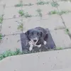 Kaiden Bauer - @kaidenbauer97 - TikTok