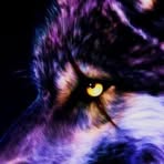 Kaiden Bean - Facebook