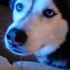 kaidenbeck - @user39518191 - TikTok