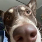 Kaiden Benson - Facebook