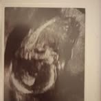 Kaiden Boyd - Facebook