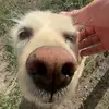 kaiden brooks - @k.brooksy - TikTok