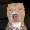 kaidenbrooks530 - @kaidenbrooks530 - TikTok