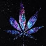 Kaiden_carr21 - @kaiden_carr21 - Instagram