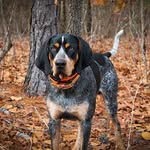 Kaiden Carson - @bearhuntingboy - Instagram