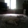 Kaden.Castillo - @user80832012 - TikTok