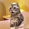Kaiden Clark - @kaiden.clark34 - TikTok