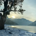Kaiden Furlong - @kaiden_cole5 - Instagram