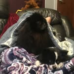 Kaiden David - @kaiden.david.1 - Instagram