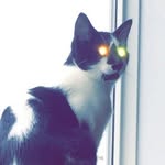 Kaiden David - @_.k_d_t.123._ - Instagram