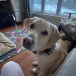 Kaiden Giroux - @kaiden_david132 - Instagram