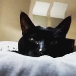 Kaiden - @kaidendavid_ - Instagram