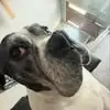 Karma kiss - @kaidendavidyoung - TikTok