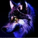 kaiden - @kaiden_for_days - Instagram