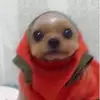 Kaiden - @kaidenford - TikTok