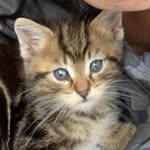 Kaiden Fox - @studi0_rr - Instagram