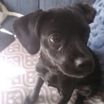 Kaiden Michael - @the_real_kaiden_fox - Instagram