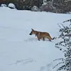 kaiden_freeman23 - @kaiden_freeman23 - TikTok