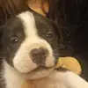 lilly - @kaiden_gardner - TikTok
