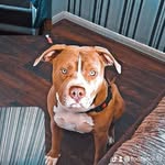 kaiden glennn - @kaidenglennn - Instagram