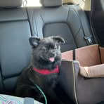 Cayden Hess - Facebook