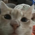 Kaiden Hicks - @ragin.kaijun - Instagram