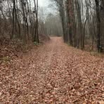 Kaiden Hoffman - Facebook