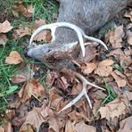 Kaden Hogan - Facebook